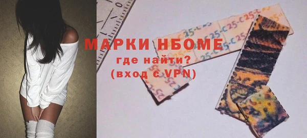 шишки Алзамай