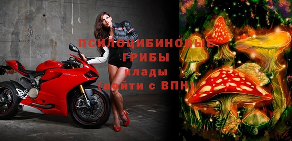 бутират Алексин