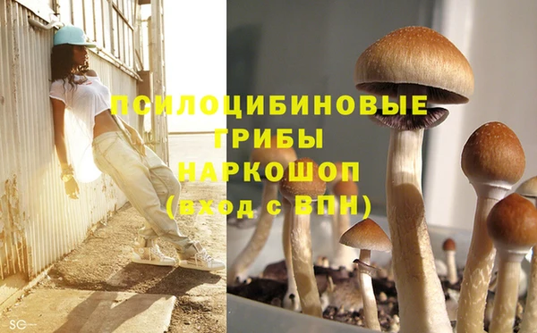 шишки Алзамай