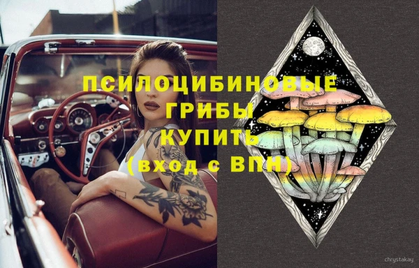 шишки Алзамай
