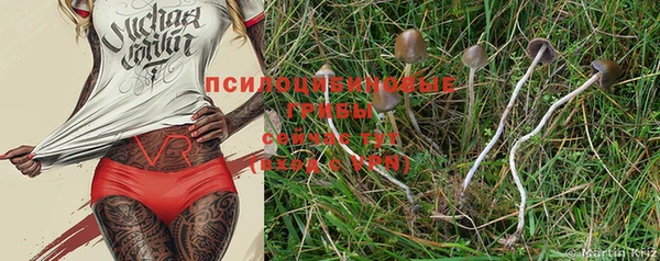 прущая мука Новозыбков