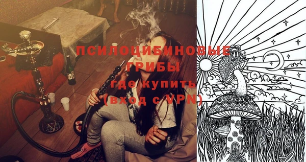 гидра Новодвинск