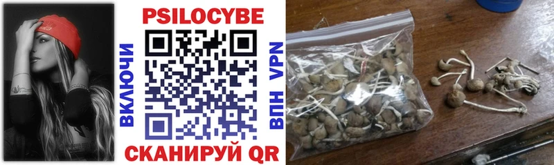 Псилоцибиновые грибы GOLDEN TEACHER  где купить наркоту  Конаково 